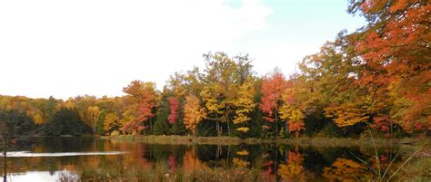 Langlade County Wisconsin Tourism: The County of Trails