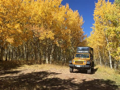 10 Fantastic Fall Activities in Colorado