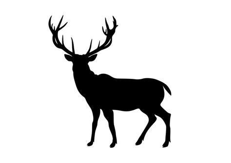 Svg Deer Silhouette - 249+ Popular SVG File