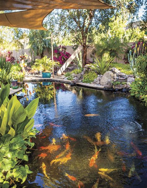 Build a Better Pond - Phoenix Home & Garden