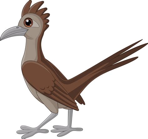 Cartoon roadrunner bird on white background 15219976 Vector Art at Vecteezy