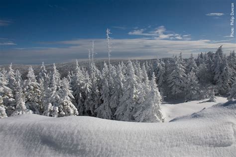 Snowshoe West Virginia A Southeast Secret | The Brave Ski Mom