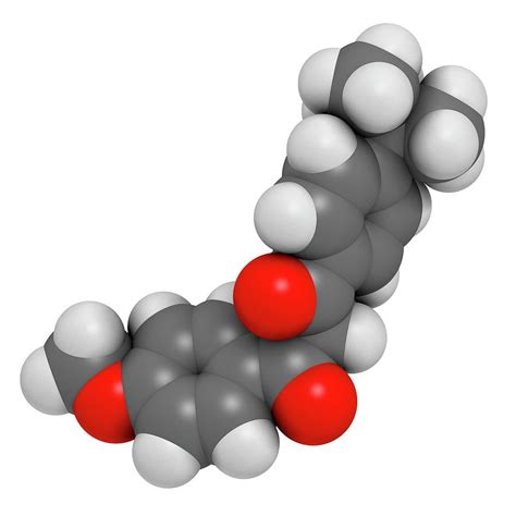 Avobenzone Sunscreen Molecule Photograph by Molekuul | Fine Art America