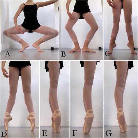 Common dance positions. Grand plié (A), demi-plié (B), relevé (C), en... | Download Scientific ...