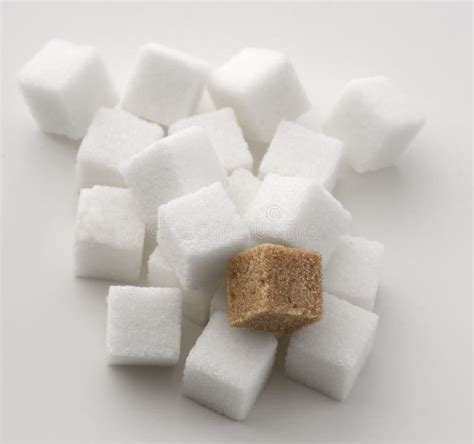 Sugar art stock photo. Image of brown, common, food, candy - 24572838