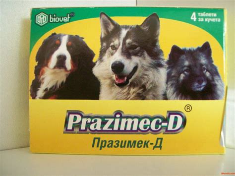 PRAZIMEC D - 12 praziquantel tablets for dogs No prescription