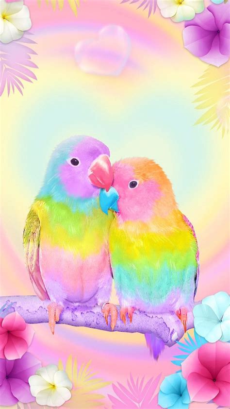 Rainbow Love Birds Wallpaper Download | MobCup