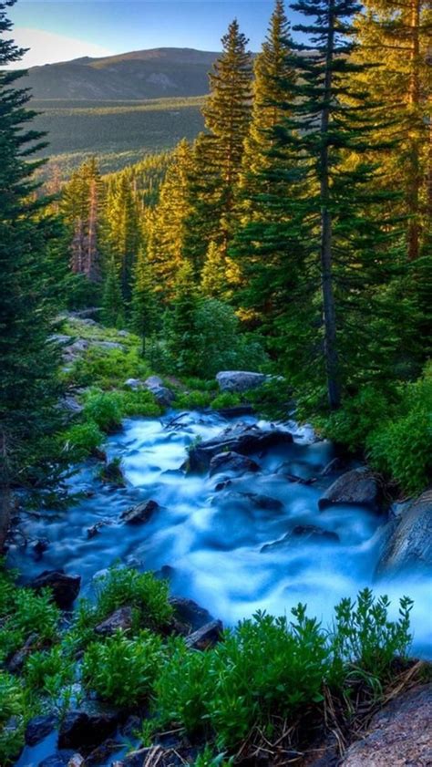 92 Hd Wallpaper Nature Pinterest Pics - MyWeb