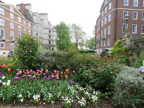 Tulips defeat roses at Inner Temple, London