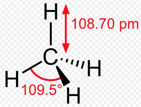 Shapes Of Simple Organic Compounds - Chemistry, Class 11, Organic ...