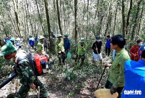 North-central Vietnam’s forests engulfed in five wildfires in one day | Tuoi Tre News