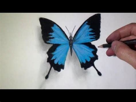 Comment Dessiner Un Papillon Youtube - vrogue.co