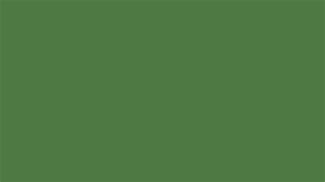 5120x2880 Fern Green Solid Color Background
