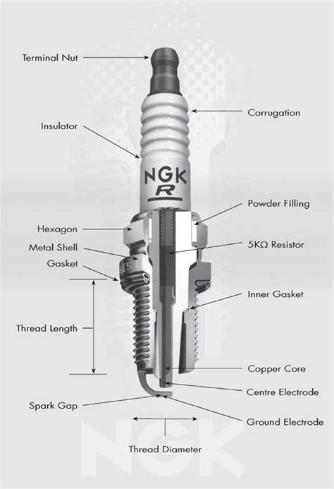 Spark plugs for Ipotesi | MV Agusta Forum