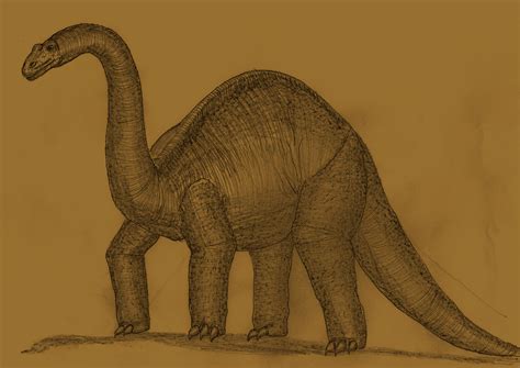 Brontosaurus summerleensis by Adiraiju on DeviantArt