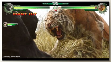 Bagheera vs Shere Khan with Healthbars - YouTube