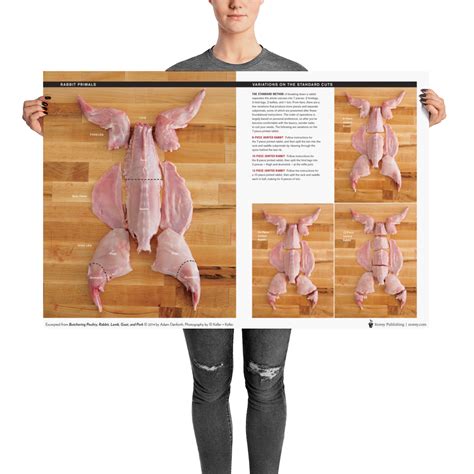 Rabbit Cuts & Primals Wall Poster — Adam Danforth - Butcher & Educator