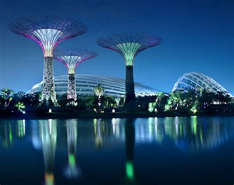 Gardens By The Bay HD Wallpaper, several assorted-color building lights ...