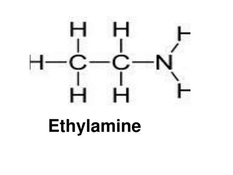 PPT - Organic Chemistry PowerPoint Presentation, free download - ID:5483489