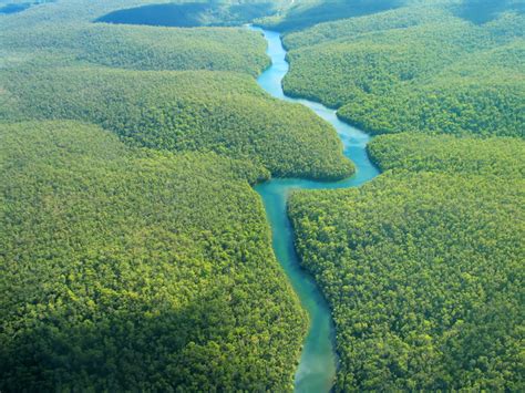 Colombia launches partnership to protect Amazon rainforest from deforestation — Global Green ...