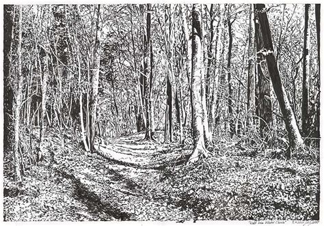 Landscape drawing: forest near Chorin monastery