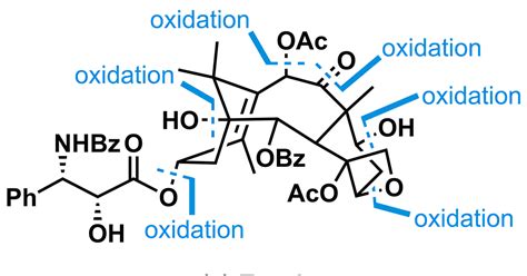 Taxol | Opinion | Chemistry World