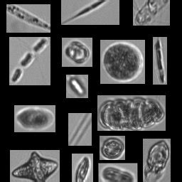 (PDF) Supervised Microalgae Classification in Imbalanced Dataset