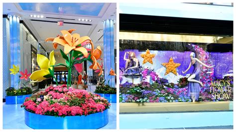 Todo sobre el Macy’s Flower Show 2023 en Manhattan | Video | Univision ...