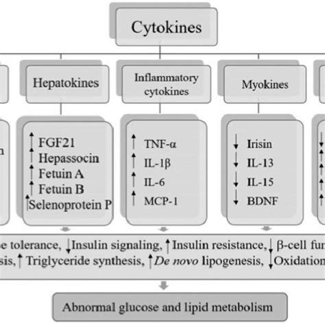 Changes of cytokines levels and metabolic dysregulation | Download ...