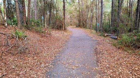 22 Best Paved Bike Trails In Florida | Reviews, Tips, Maps