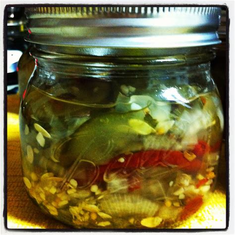 Homemade Spicy Pickles | Recipe - Simply Elliott