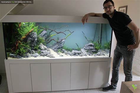 Simon's Aquascape Blog | Aquascaping, Aquarium bepflanzen ...