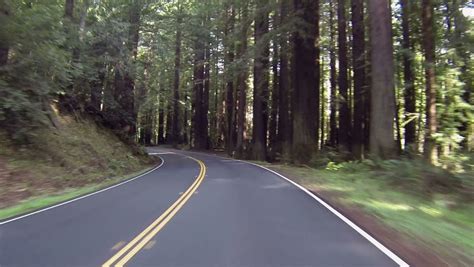 Vacation Drive Through Redwood Forest Stock Footage Video (100% Royalty-free) 4426433 | Shutterstock