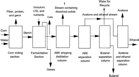 A schematic diagram of butanol production by fermentation of corn ...