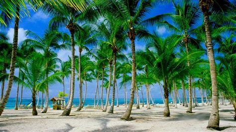 Punta Cana Wallpapers - Wallpaper Cave