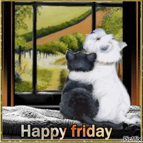 Cats Happy Friday Animation Pictures, Photos, and Images for Facebook, Tumblr, Pinterest, and ...