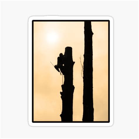 "Arborist Design: Sunset Silhouette" Sticker for Sale by Imladris01 ...