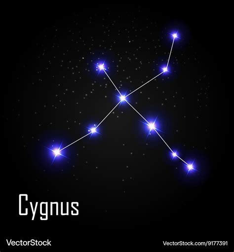 Cygnus Stars