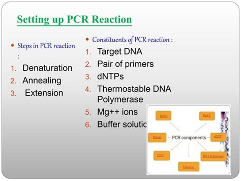 Pcr and its types | PPT