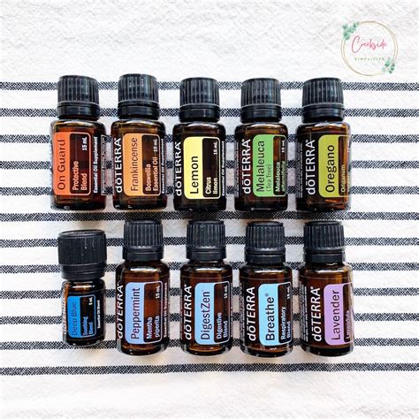 Beginner's Guide to Essential Oils