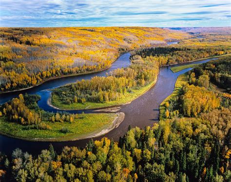 Boreal forest - Alberta,Canada - photo, Garth Lenz