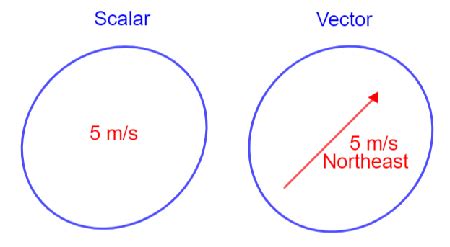 Scalar Value & Addition | Definition, Uses & Examples - Lesson | Study.com