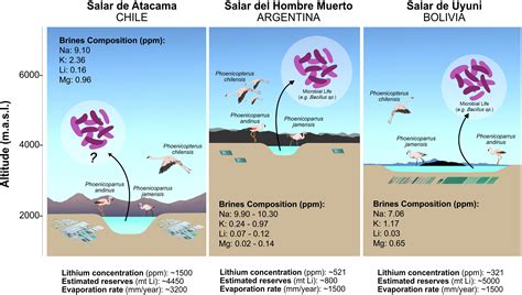 Frontiers | Insights Into the Microbiology of the Chaotropic Brines of Salar de Atacama, Chile