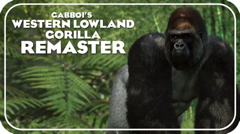 Western Lowland Gorilla Remaster (Gabboi) | Planet Zoo Modding Library Wiki | Fandom