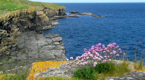 Lybster Travel Guide: Best of Lybster, Scotland Travel 2024 | Expedia.co.uk