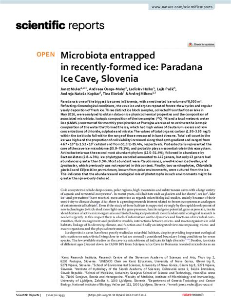 (PDF) Microbiota entrapped in recently-formed ice: Paradana Ice Cave ...