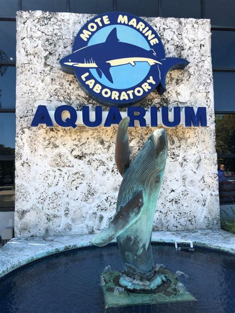 Mote Marine Laboratory and Aquarium, Sarasota Florida - Family Travel