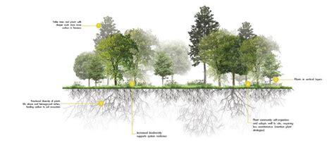 Landscape Design for Carbon Sequestration | Landscape architecture ...