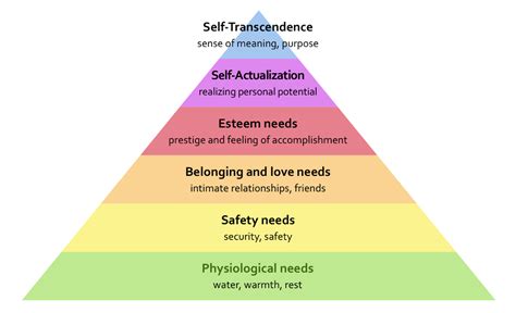 the concept of self-transcendence