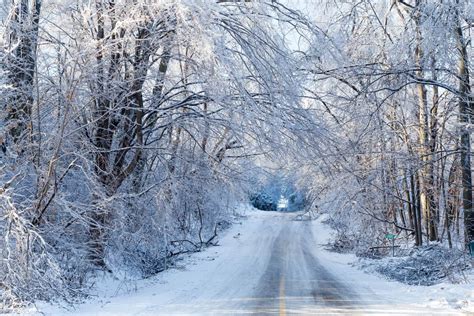 Ice Storms: How to Prevent Possible Damage - Will Marshall